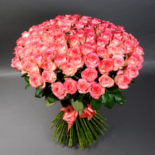 101 розовая роза Джумилия