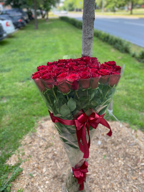 51 гигантская красная роза