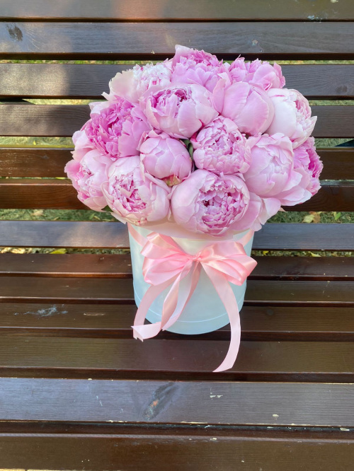 25 пионов Сара Бернар в коробке