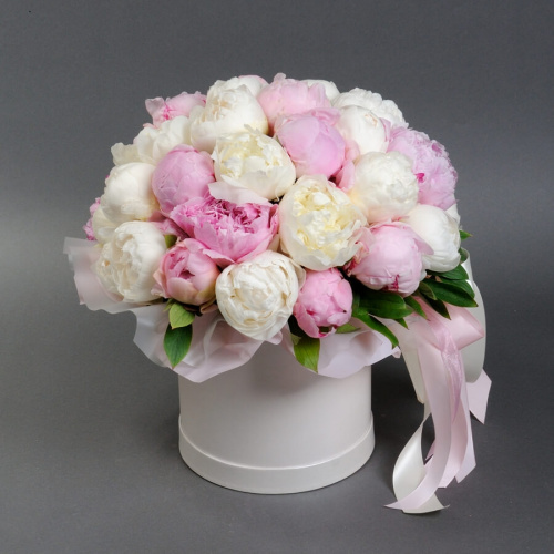 Коробка из 35 белых и розовых пионов