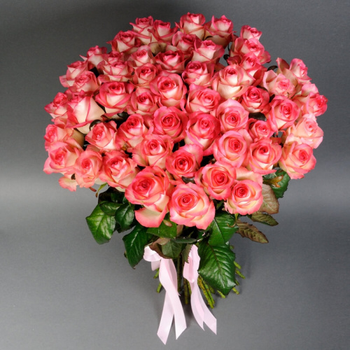 51 розовая роза Джумилия