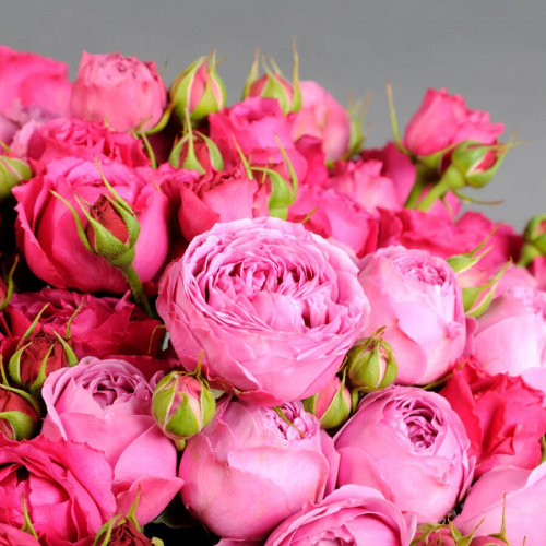 31 кустовая роза микс Баблс