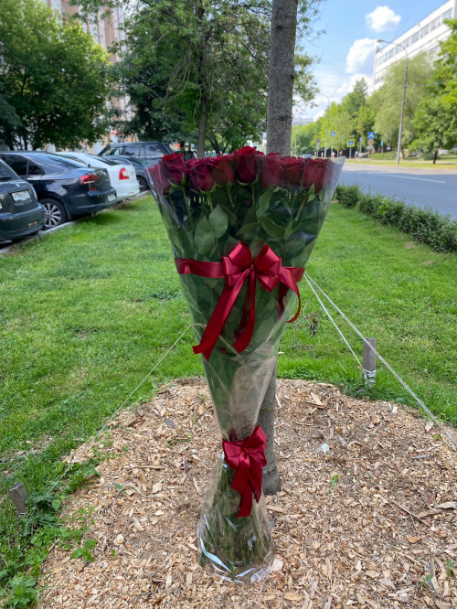 51 гигантская красная роза