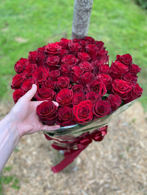 51 гигантская красная роза