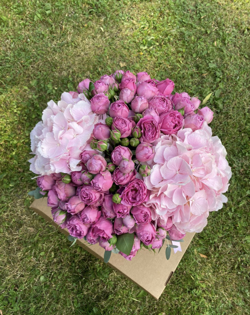 Коробка Мисти Баблс с гортензиями