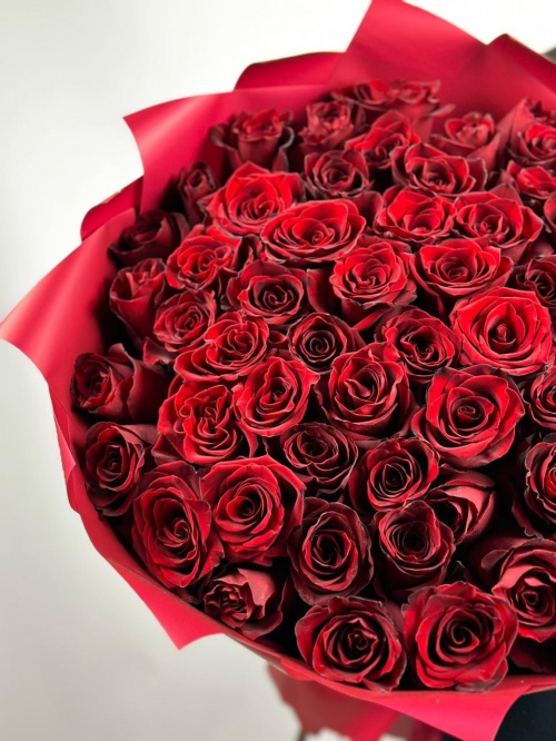 65 роз Эксплорер (Эквадор)