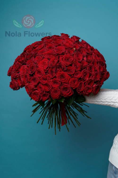 101 красная роза