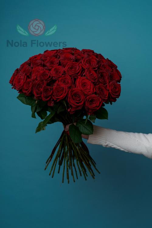 51 красная роза