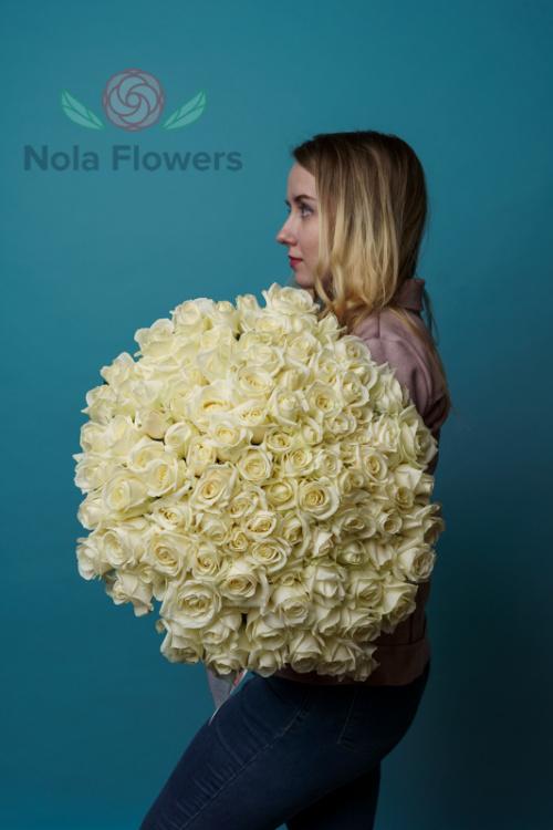 101 белая роза