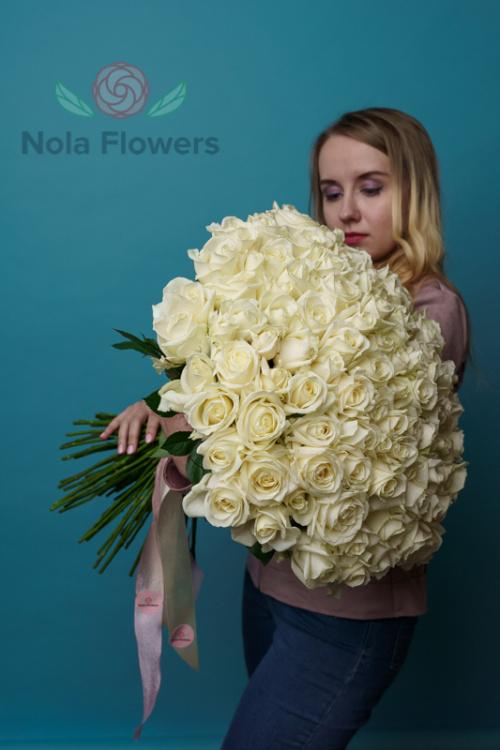 101 белая роза