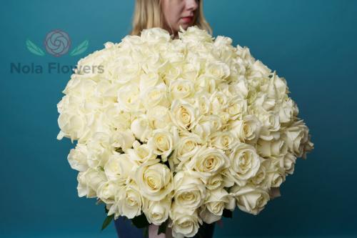 101 белая роза