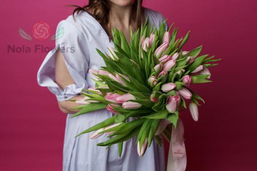 51 розовый тюльпан